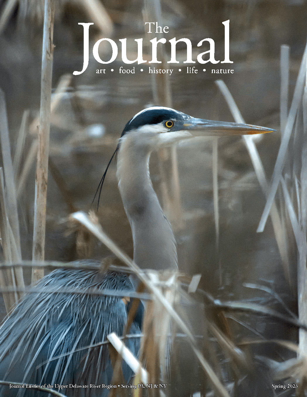 2023 journal