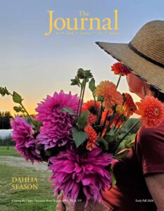 Early Fall issue featuring dahlias from Sunset View Farms