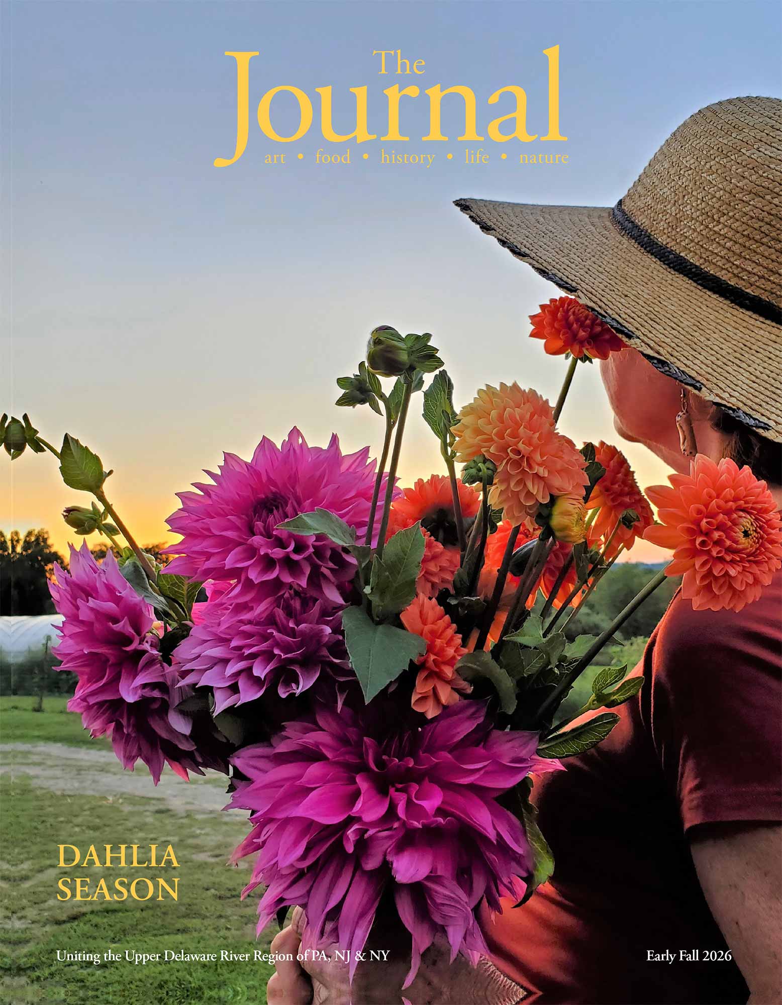 Dahlias from Sunset View Farms